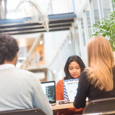 People sitting at table with laptops